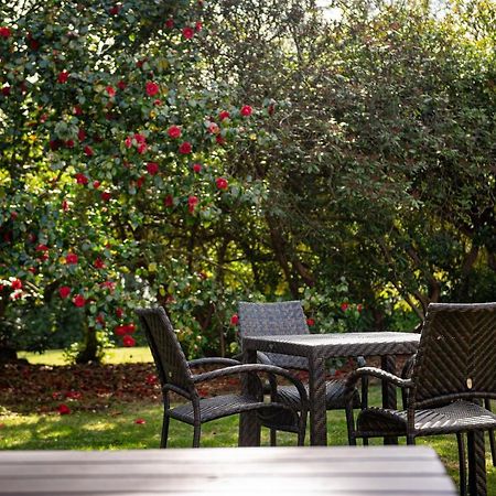Copthorne Effingham Gatwick Hotel Экстерьер фото